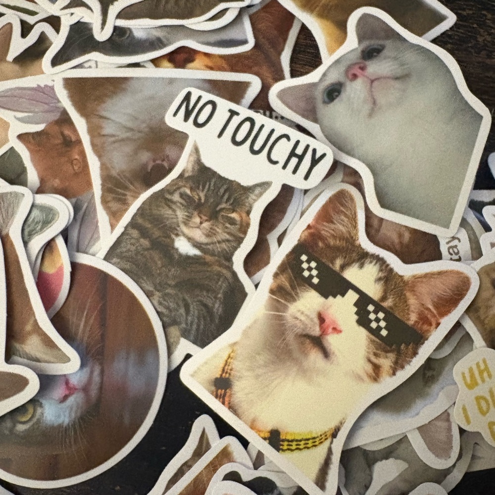 Cat Sticker Pack - Multicolor - Picture 5 of 9